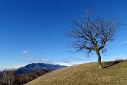 30 Su variante di dx del sent. 507 verso antica Cascina Valturba